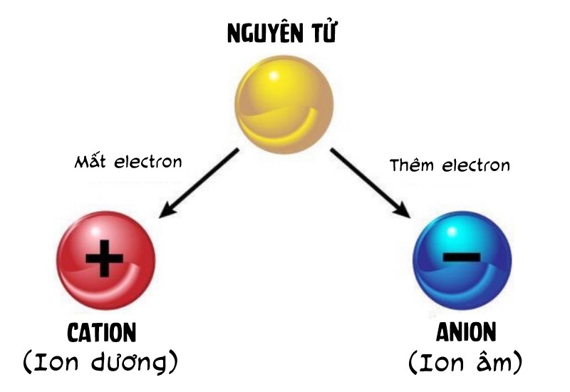 hạt trao đổi anion là gì