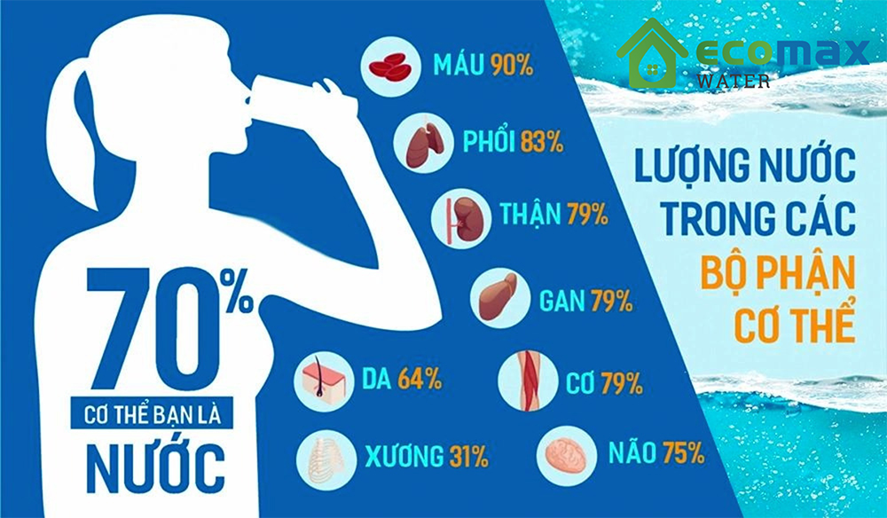 H2O Là Oxit Gì? Tìm Hiểu Về Tính Chất Và Vai Trò Của H2O