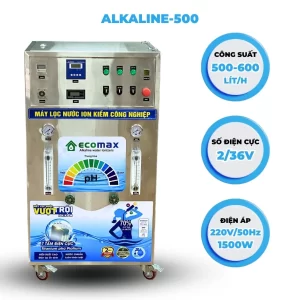 Máy lọc nước ion kiềm công nghiệp 500 Lít/h do Ecomax sản xuất lắp đặt